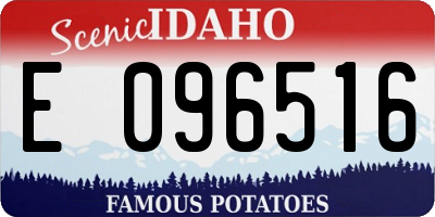 ID license plate E096516