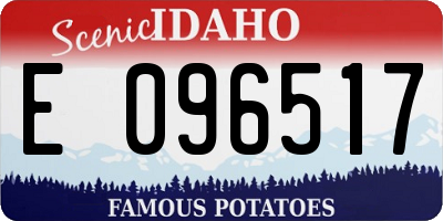 ID license plate E096517