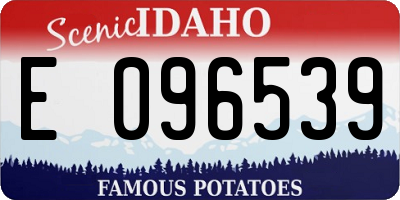 ID license plate E096539
