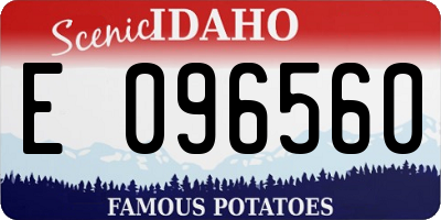 ID license plate E096560