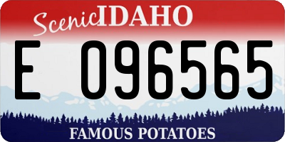 ID license plate E096565
