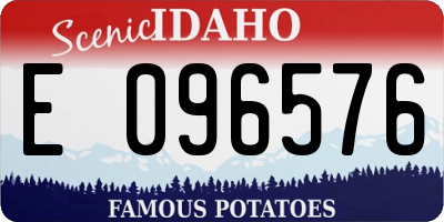 ID license plate E096576