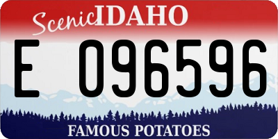 ID license plate E096596