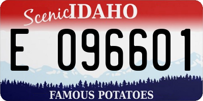 ID license plate E096601