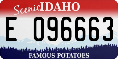 ID license plate E096663
