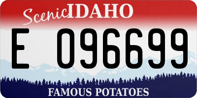 ID license plate E096699