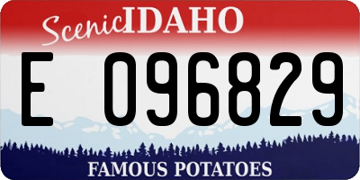 ID license plate E096829