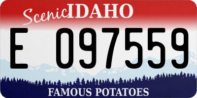 ID license plate E097559