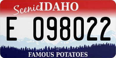 ID license plate E098022