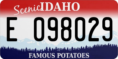 ID license plate E098029