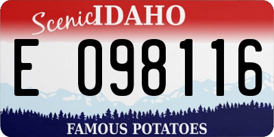 ID license plate E098116