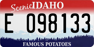 ID license plate E098133
