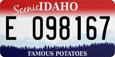 ID license plate E098167