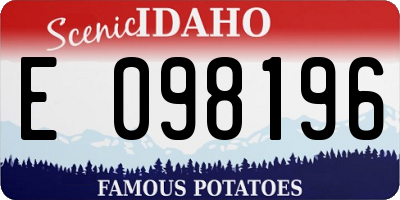ID license plate E098196