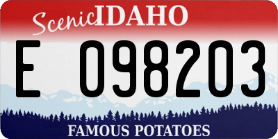 ID license plate E098203