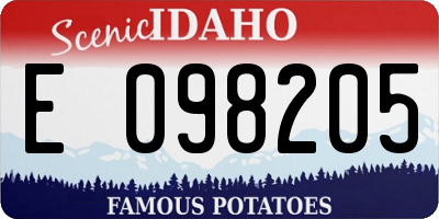 ID license plate E098205