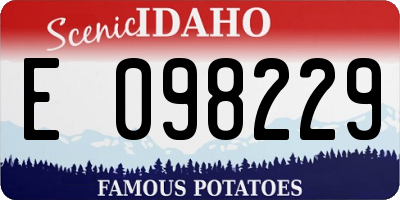 ID license plate E098229