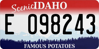 ID license plate E098243