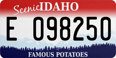 ID license plate E098250