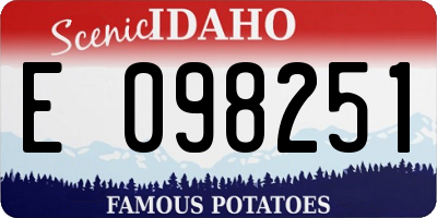 ID license plate E098251