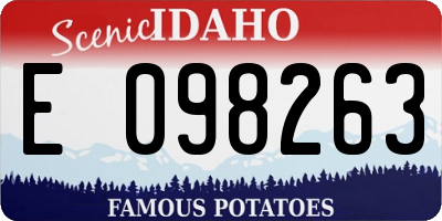ID license plate E098263