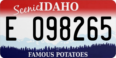ID license plate E098265