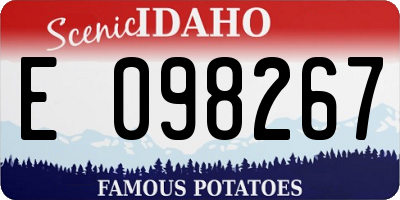 ID license plate E098267