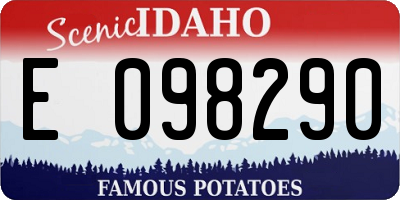 ID license plate E098290