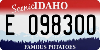 ID license plate E098300