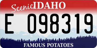 ID license plate E098319