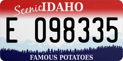 ID license plate E098335