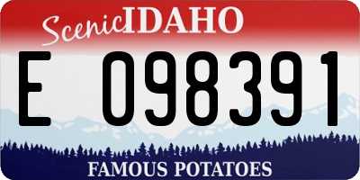 ID license plate E098391