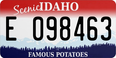 ID license plate E098463
