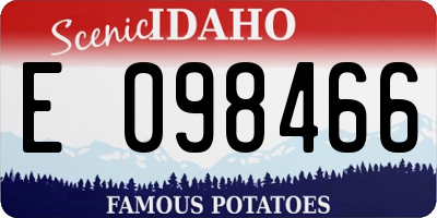ID license plate E098466