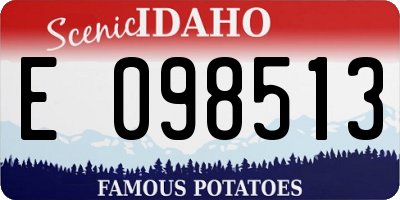 ID license plate E098513