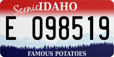 ID license plate E098519