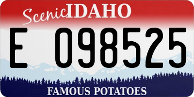 ID license plate E098525