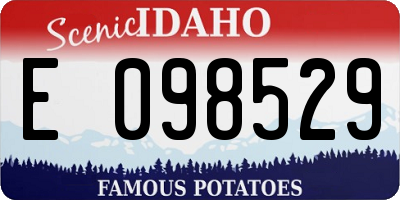 ID license plate E098529