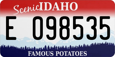 ID license plate E098535