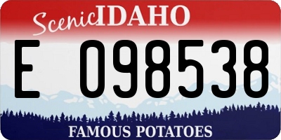 ID license plate E098538
