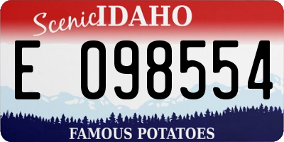 ID license plate E098554