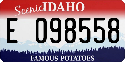 ID license plate E098558