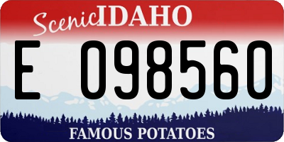 ID license plate E098560