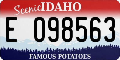 ID license plate E098563