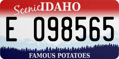 ID license plate E098565