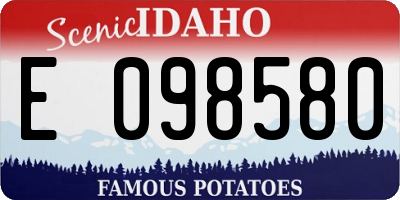 ID license plate E098580