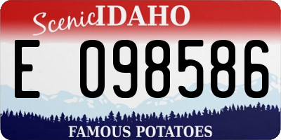 ID license plate E098586