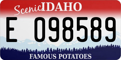 ID license plate E098589
