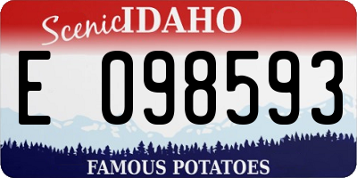 ID license plate E098593