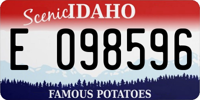ID license plate E098596